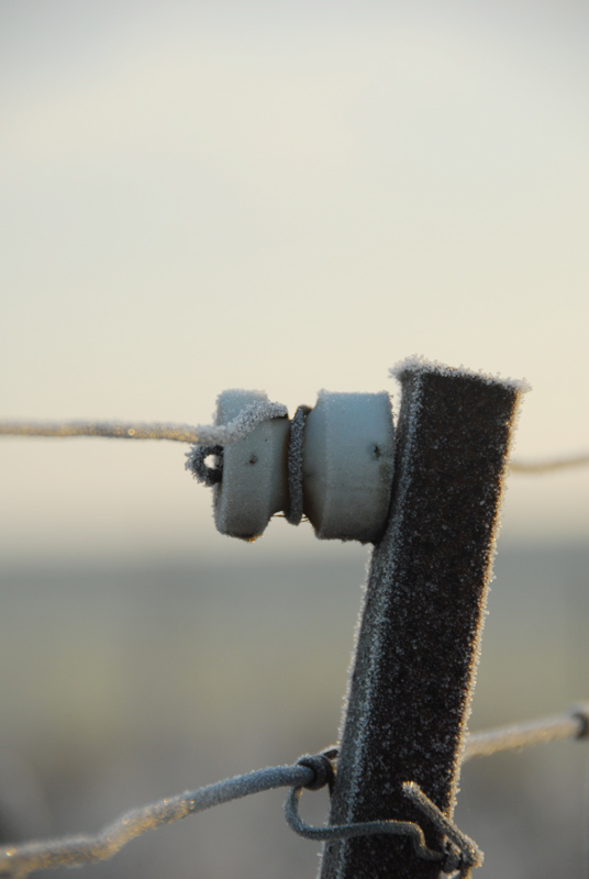 Fence Post